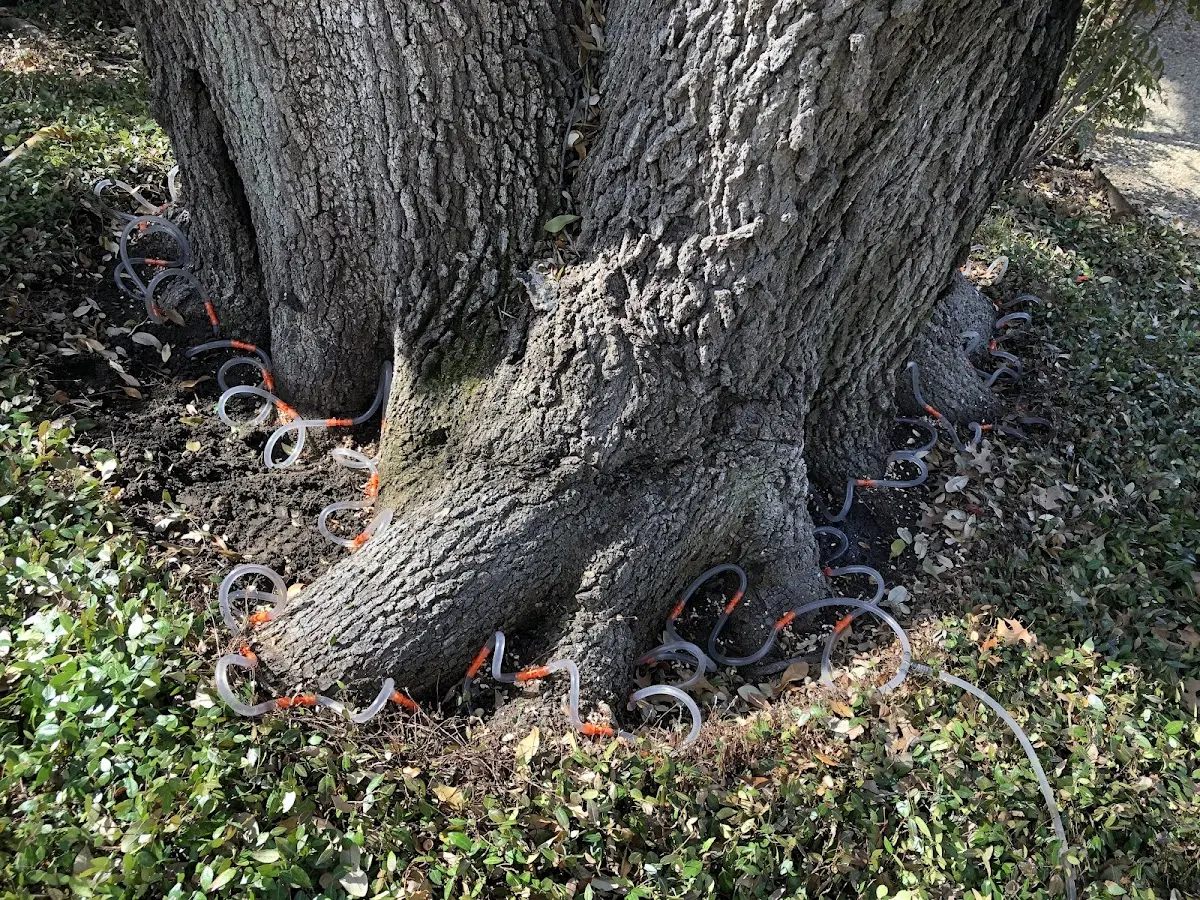 Detailed Shrub and Hedge Trimming job site in Bushton