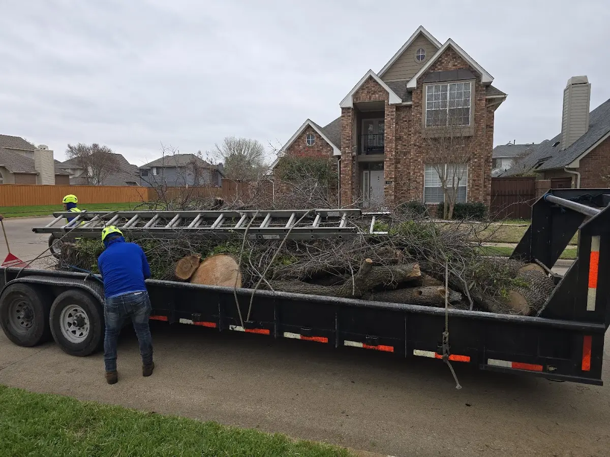 Expert Tree Fertilization with proper safety equipment in Bushton